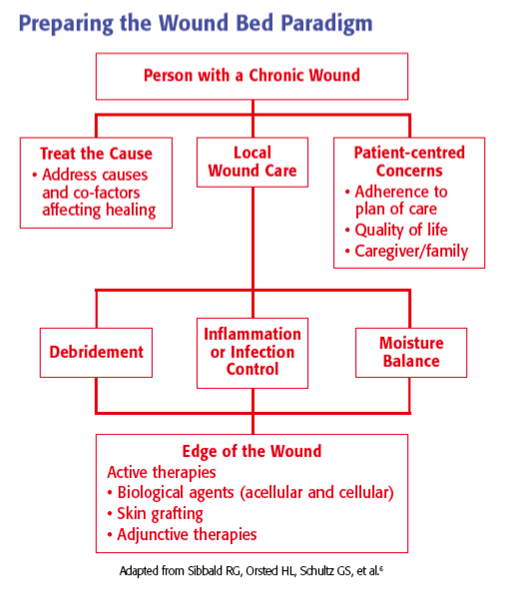 Wound Bed Paradigm